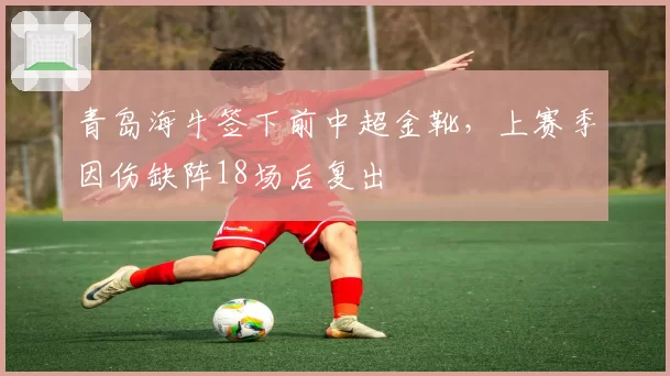 青岛海牛签下前中超金靴，上赛季因伤缺阵18场后复出