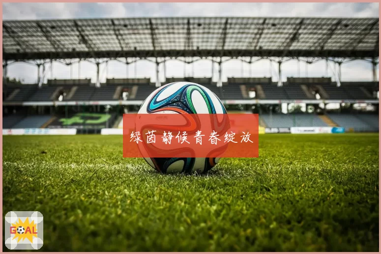 绿茵静候青春绽放