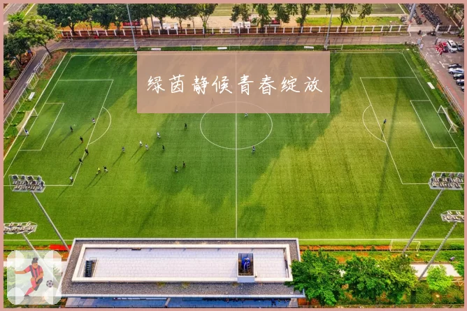 绿茵静候青春绽放