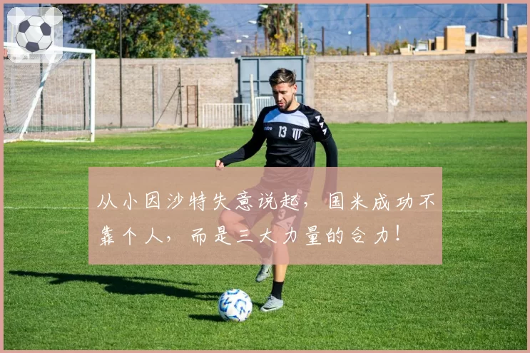 从小因沙特失意说起,国米成功不靠个人,而是三大力量的合力!
