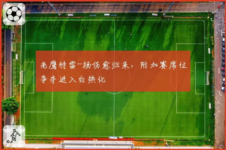 老鹰特雷-杨伤愈归来,附加赛席位争夺进入白热化