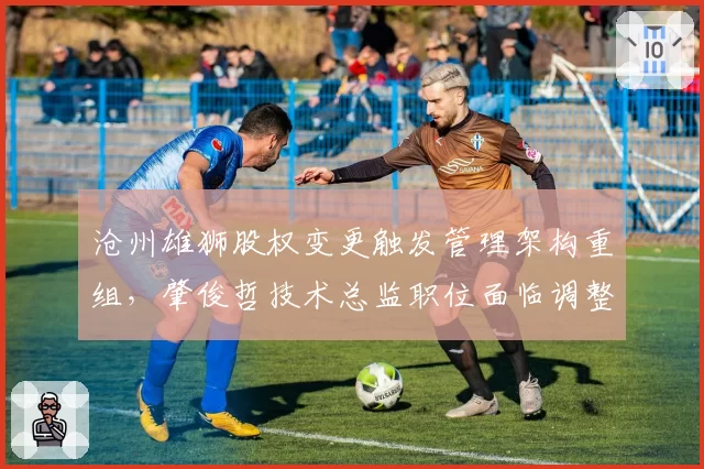 沧州雄狮股权变更触发管理架构重组,肇俊哲技术总监职位面临调整