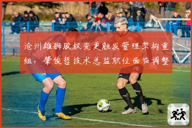 沧州雄狮股权变更触发管理架构重组,肇俊哲技术总监职位面临调整